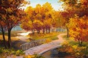 网络创业网
:网络怎么创业？