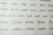 写作业的英语(写的英语)