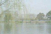 乌衣巷位于
:请谈谈刘禹锡的《乌衣巷》表达了怎样的情怀？