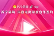 抖音电商平台(抖音电商平台官方网)