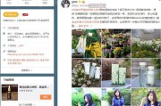 微博实时代发一条多少钱(微博实时代发5元)
