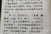 用几个词语写作文(写作文好用的高端词语)