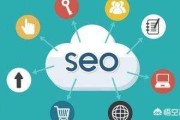 说说seo
:做seo每天就需要写文章吗？这个和网站编辑有什么区别？