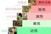 精灵传说藏宝阁
:你知道高原精灵藏羚羊目前存活的数目吗？