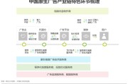 广告投放策略(广告投放策略分析)