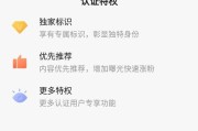 头条黄v是什么(头条号黄v是什么意思)