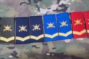 一级士官是什么级别(一级士官是什么级别的军衔)