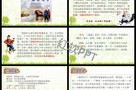 骆驼祥子写作特点(骆驼祥子写作特点归纳)