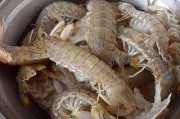 皮皮虾怎么处理(皮皮虾怎么处理干净视频)