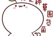 什么是种草
:种草是什么意思？