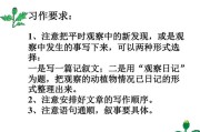课文的写作顺序有哪些(小木船这篇课文的写作顺序)