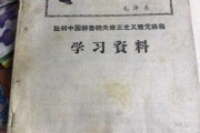 关于中国修正主义的信息