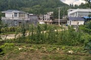 衢州是哪个省的城市
:上饶和衢州，你更喜欢哪一座城市？