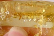 蜜蜡用手机灯光鉴别
:怎样快速鉴定蜜蜡的真假？