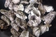 清蒸生蚝最简单的做法
:带壳生蚝蒸多久才熟？