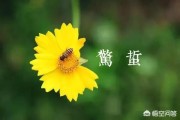 惊蛰的意思
:惊蛰是什么意思？