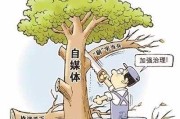 自媒体乱象论文(针对自媒体乱象的看法)
