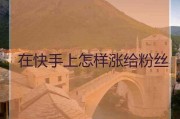 粉丝如何快速涨到一万(如何快速涨粉丝1000)