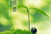 惊蛰寓意(惊蛰寓意美好的诗句)