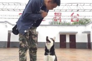 宠物店一年利润怎么样
:开一家宠物店的利润有多少？