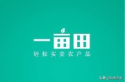 什么网能开店
:现在哪个平台的电商适合个人开店？