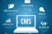 什么是cms
:Cms需要注意什么？