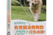 特别黄的100个问题(特别黄的100个问题真心话)