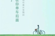 描写夏天的文案(描写夏天的文案100字)