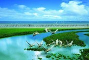 洪泽湖在哪个省(洪泽湖在哪个省哪个城市)
