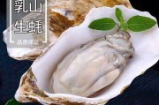 生蚝功效(生蚝功效与作用禁忌详解)