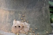 活动形式怎么写
:蜜蜂的活动方式是怎样的？