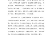 背影仿写作文(父亲的背影仿写作文)