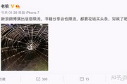 微博限流怎么解决(微博限流如何解决)