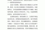 荷花怎么写作文(荷花怎么写作文300字)