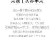 茶文案(茶文案短句干净幽默)