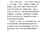 兔子怎么写作文(兔子怎么写作文四年级)