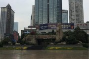 白话文是什么
:中国舍弃文言文采用白话文的原因是什么？
