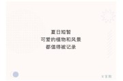 关于夏天的文案(关于夏天的文案句子)