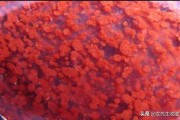 朱砂石
:朱砂饰品哪里产地最好？