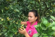 巧妇9妹(巧妇9妹儿子小六)
