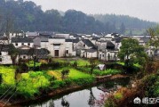 辣条哥
:农村俗语“千年的王八万年龟，百年的兔子无人追”，是什么意思？