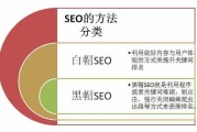 seo基础知识(seo基础知识详解)