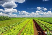 好项目致富
:在东北地区农村，除了发展种植业和养殖业，还有什么比较好的致富项目可以参考？