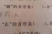 剪的音序(痛的音序)
