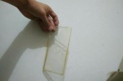 手机壳发黄用什么能洗白
:硅胶手机套发黄了怎么办？如何洗白？