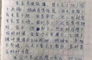 如何教孩子写作文(怎么写作文二年级)