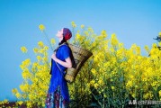 陌上花是什么意思
:陌上花开是什么意思？