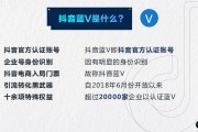 抖音网址是什么(抖音是什么网站)