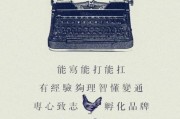 设计理念文案(室内设计理念文案)