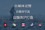 自媒体收入真相(自媒体收入大降)